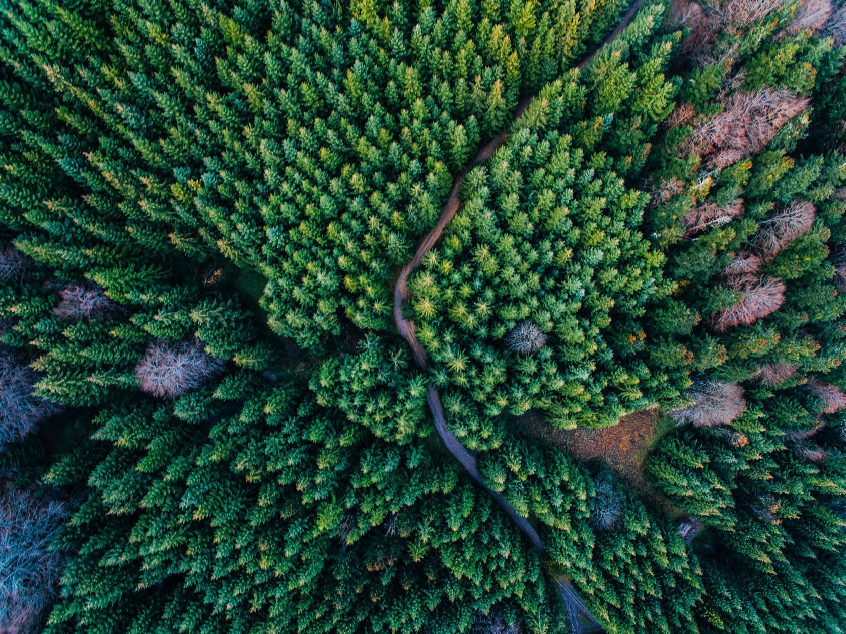 Episode 42: Beyond the bees and the birds - The business case for nature
