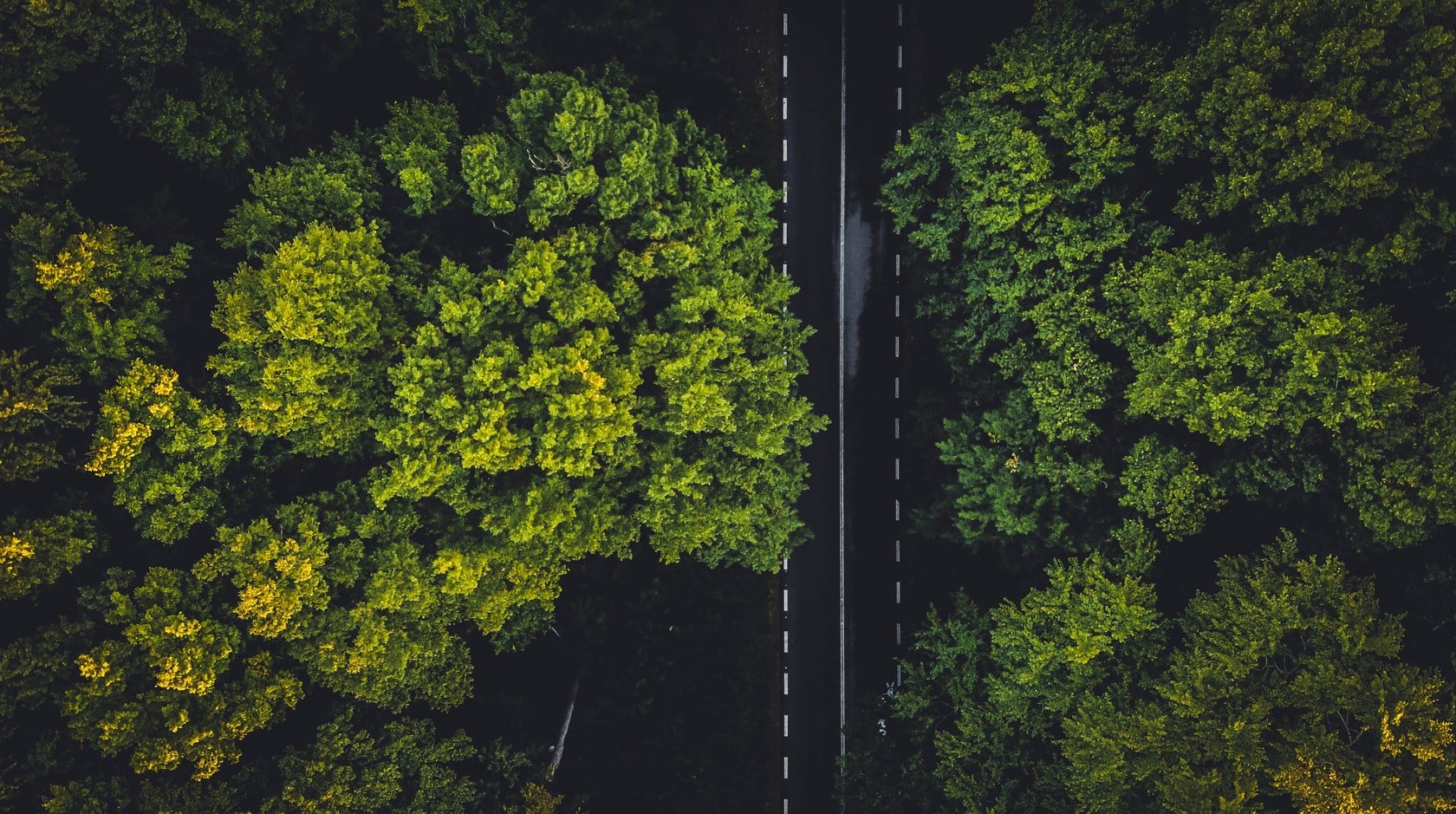 Scope 3 - Moving from strategy to action to deliver value