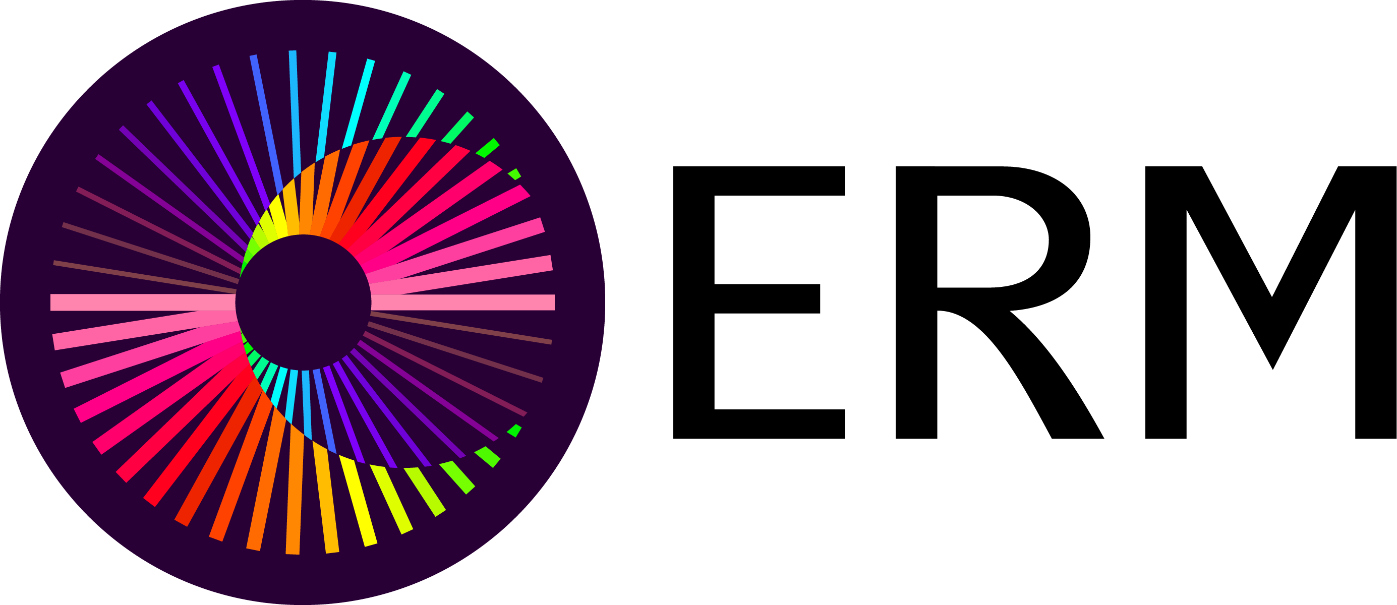 ERM Logo